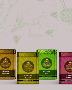 Ceylon Tea Journey: Regional Delights Collection